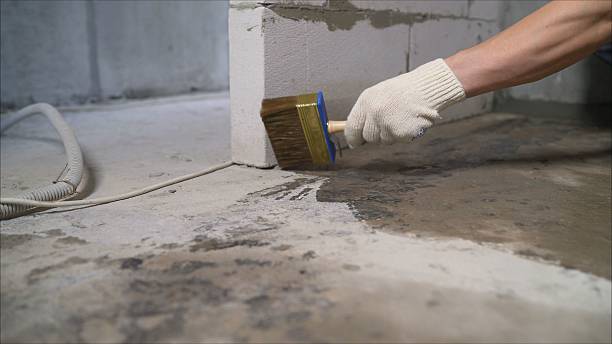 Top rated local Waterproofing specialists in Richmond, KY